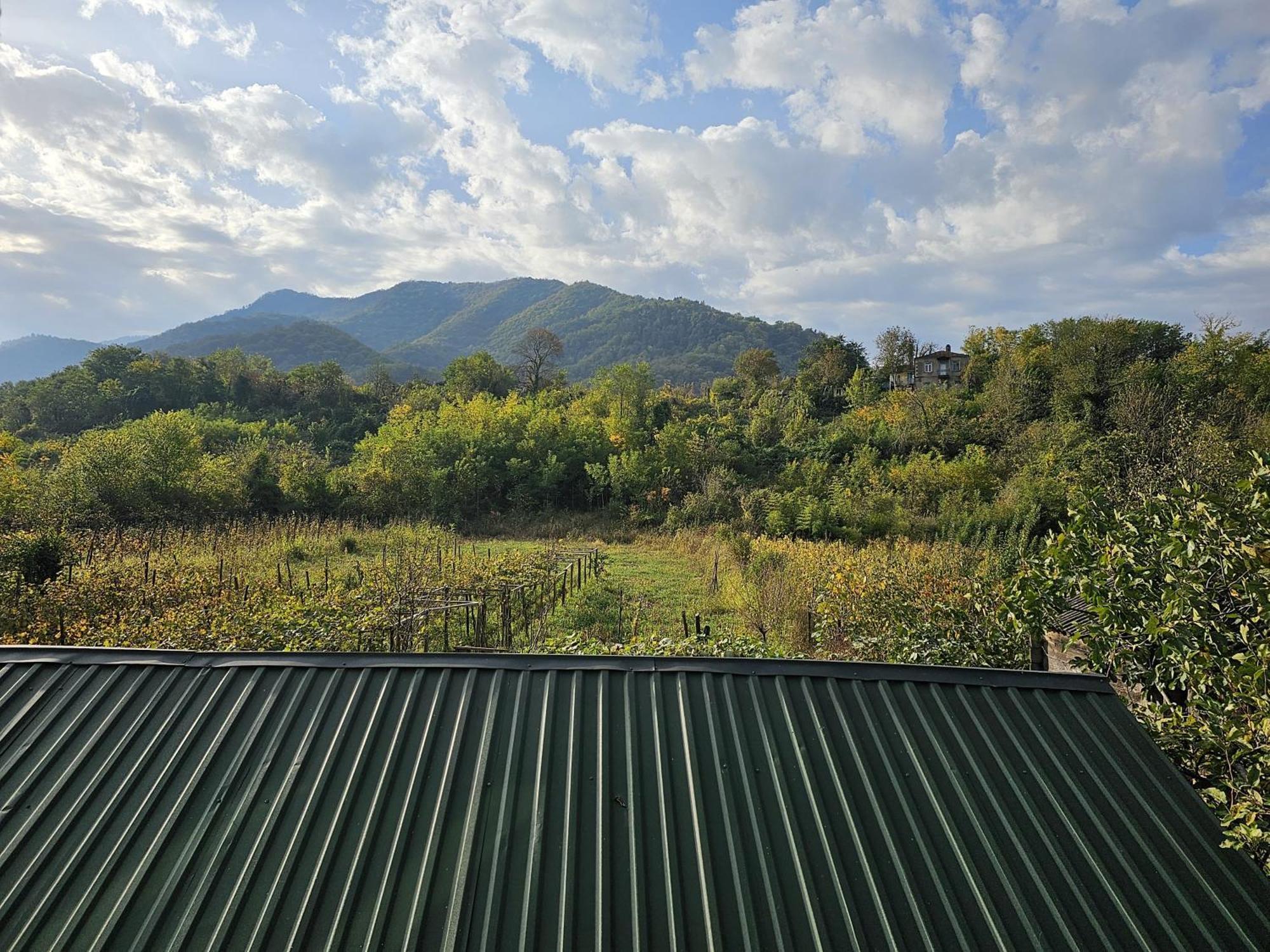 Guesthouse - Family Hotel Bagdati 外观 照片